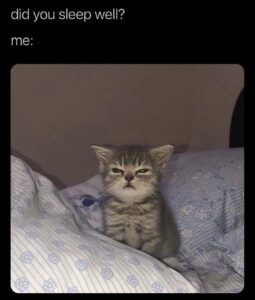 Stupid Bar Memes 609da4e57ac92