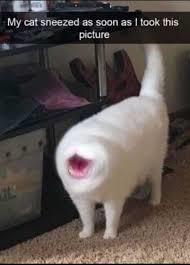 Stupid Bar Memes 609e8117dfbc4