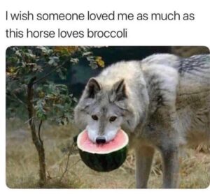Stupid Bar Memes 609f25d15e4de