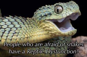 Stupid Bar Memes 60a1d7a3af259