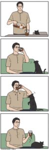 Stupid Bar Memes 60a5232a77bbb