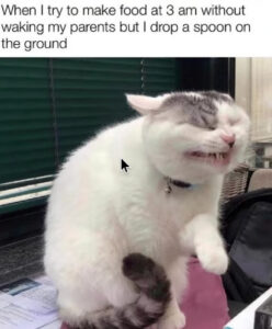Stupid Bar Memes 60a58d88349c4