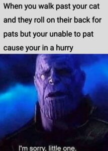 Stupid Bar Memes 60a6f2ab4410a