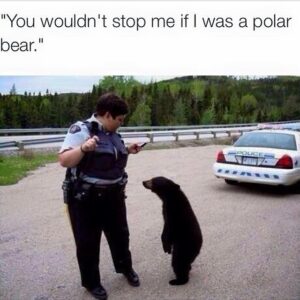 Stupid Bar Memes 60a728cf50c12