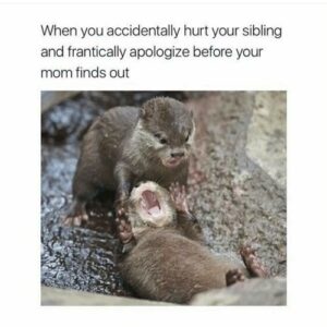 Stupid Bar Memes 60a7442c1af4f