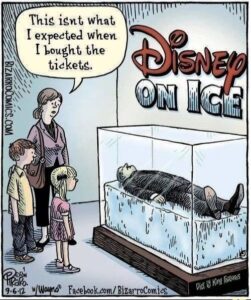 Stupid Bar Memes 60a7f3a79a72f