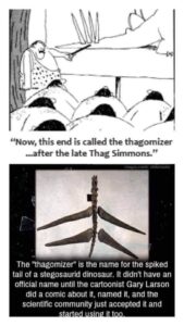 Stupid Bar Memes 60a805ce583ca