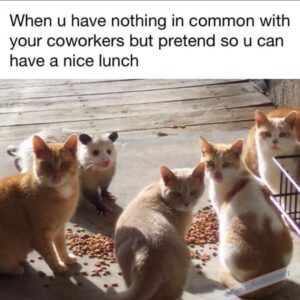 Stupid Bar Memes 60afdd088c75e