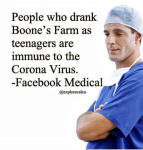 Stupid Bar Memes 61e1379e01cf5252