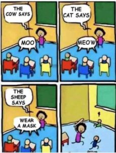 Stupid Bar Memes 6cc0239f9591b38e