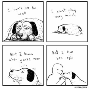 Stupid Bar Memes 719d14f438329d57