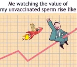 Stupid Bar Memes 7445a02bfab5385a