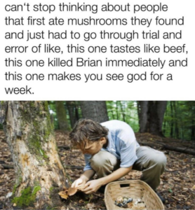 Stupid Bar Memes 7b314656f8ce4863