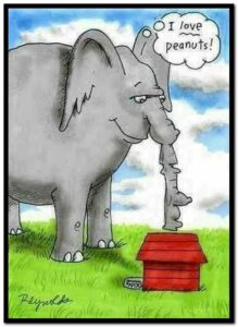 Stupid Bar Memes 7e15cd170bd58548
