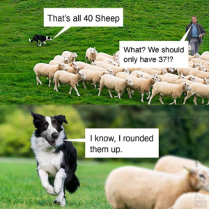 Stupid Bar Memes 7e5a70f7bc5f9184