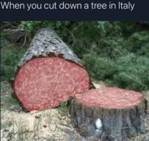 Stupid Bar Memes 86412656