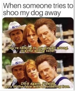 Stupid Bar Memes 86459631