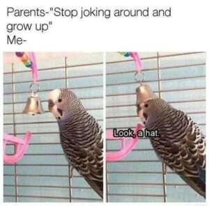 Stupid Bar Memes 86870398