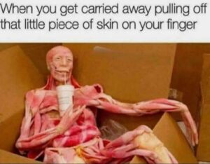 Stupid Bar Memes 86870403