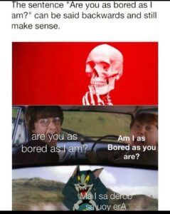 Stupid Bar Memes 8d5622433953853c