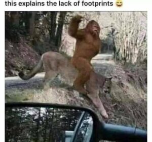Stupid Bar Memes 91c0e248031fb1a2
