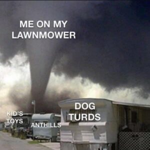 Stupid Bar Memes 93b8b50adbd52632