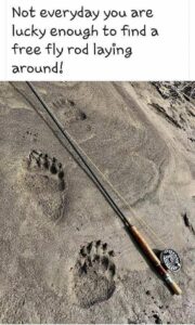 Stupid Bar Memes 96d3cfdd17968399