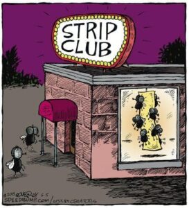 Stupid Bar Memes 9bf934ece439da4b
