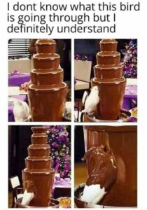 Stupid Bar Memes 9f3bd8bd65ed5ece