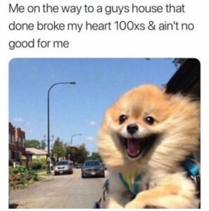 Stupid Bar Memes BoNWiNbnaowbpngbb700