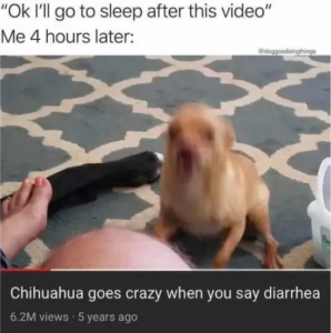 Stupid Bar Memes ScreenbShotb2021b04b30batb3.59.00bPM