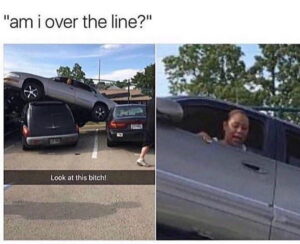 Stupid Bar Memes a0761Dd 700b