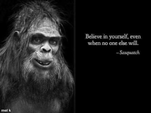 Stupid Bar Memes a41d51381d3516ea