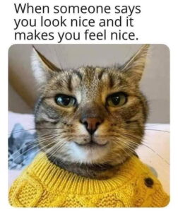 Stupid Bar Memes a4E5M5A 700b