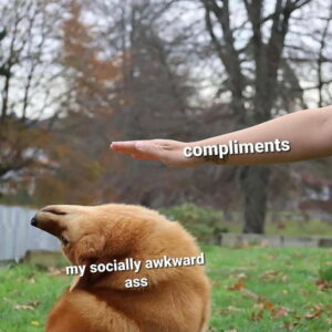 Stupid Bar Memes aV7LPRw 700b