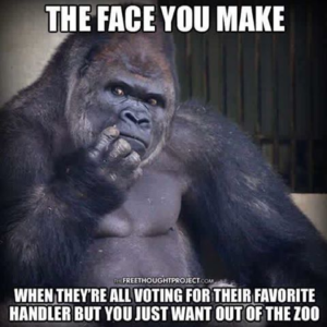 Stupid Bar Memes ad9c35e15cd6f4e1