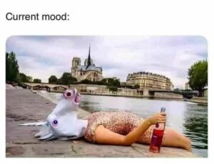 Stupid Bar Memes adcca555fdff2b24