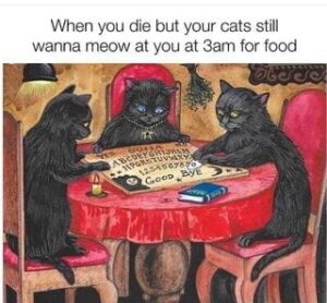 Stupid Bar Memes aoMVgOXs700b