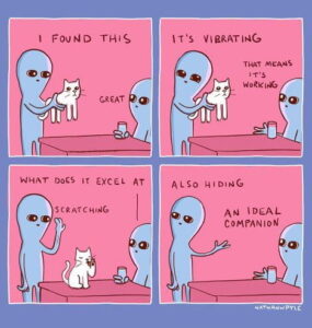 Stupid Bar Memes apNxWrWb700b