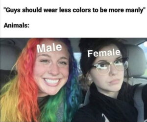 Stupid Bar Memes ayM1QVMb700b