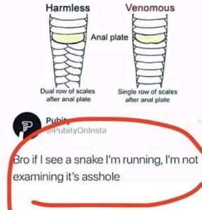 Stupid Bar Memes b7eb76be39e99cdf