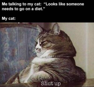 Stupid Bar Memes bsbs10s7