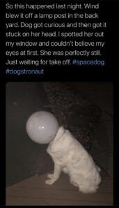 Stupid Bar Memes bsbs1s3