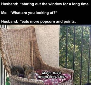 Stupid Bar Memes bsbs21