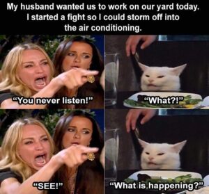 Stupid Bar Memes bss22s6