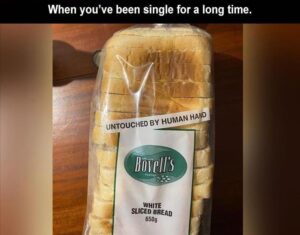 Stupid Bar Memes bss70s6