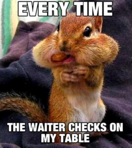 Stupid Bar Memes c054d16809c3ccb6