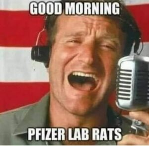Stupid Bar Memes c07915dba726785c
