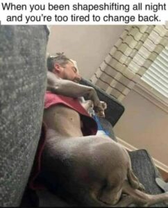 Stupid Bar Memes c10746a26457d895