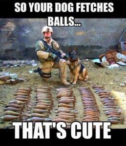 Stupid Bar Memes ce11246889062ada